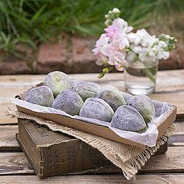 Steam喜加一 反乌托邦游戏《旁观者》免费领